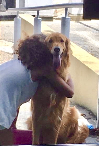 ADOPCIONES EN LA ÉPOCA DE LA&nbsp;COVID-19